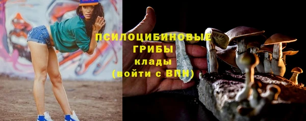 эйфоретик Михайловск