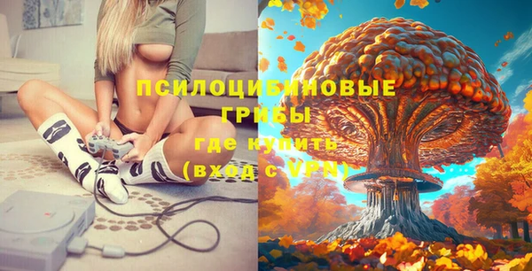 эйфоретик Михайловск