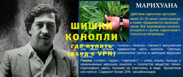 эйфоретик Михайловск