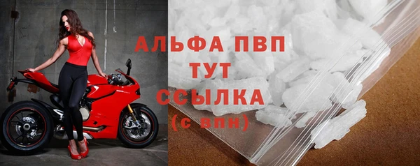 СК Михайлов